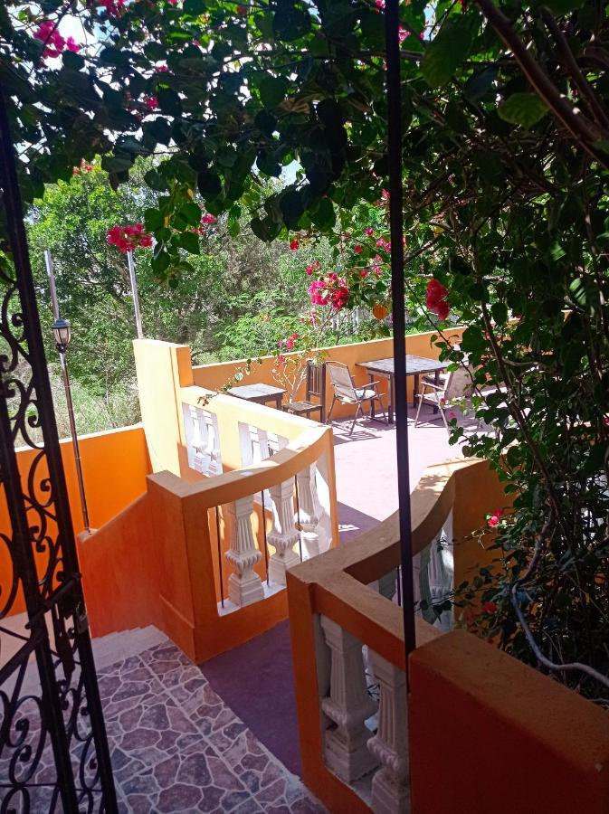 Casa Daniels Guesthouse Valladolid  Exterior photo